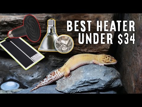 Heat Mat vs Ceramic Heat Emitter vs Deep Heater Project | WHAT'S BEST?