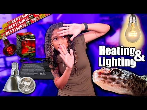 Leopard Gecko Heating and Lighting Guide